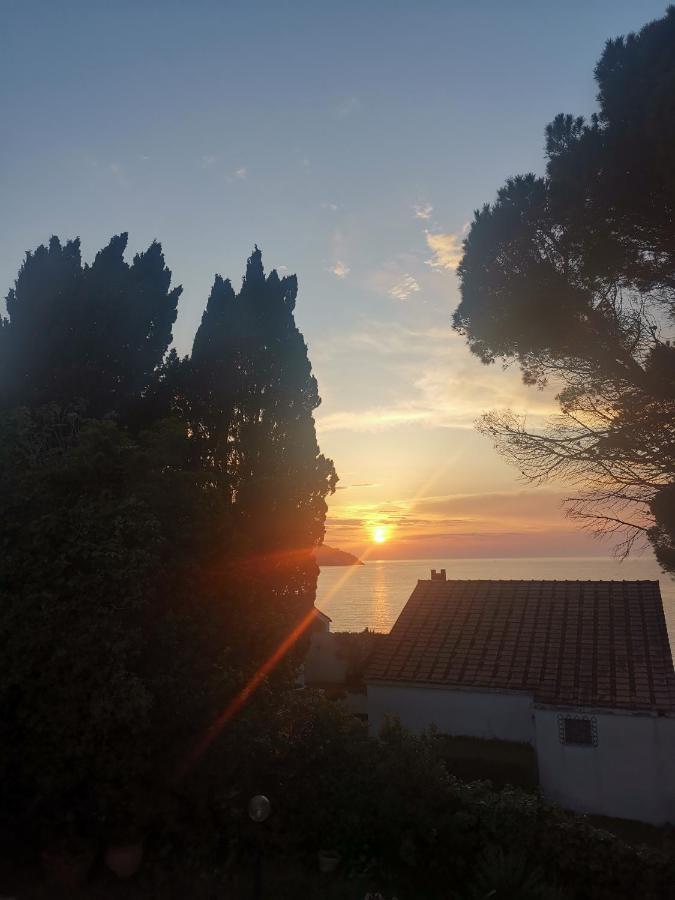 Villa Noi Quattro Porto Santo Stefano  Exterior foto